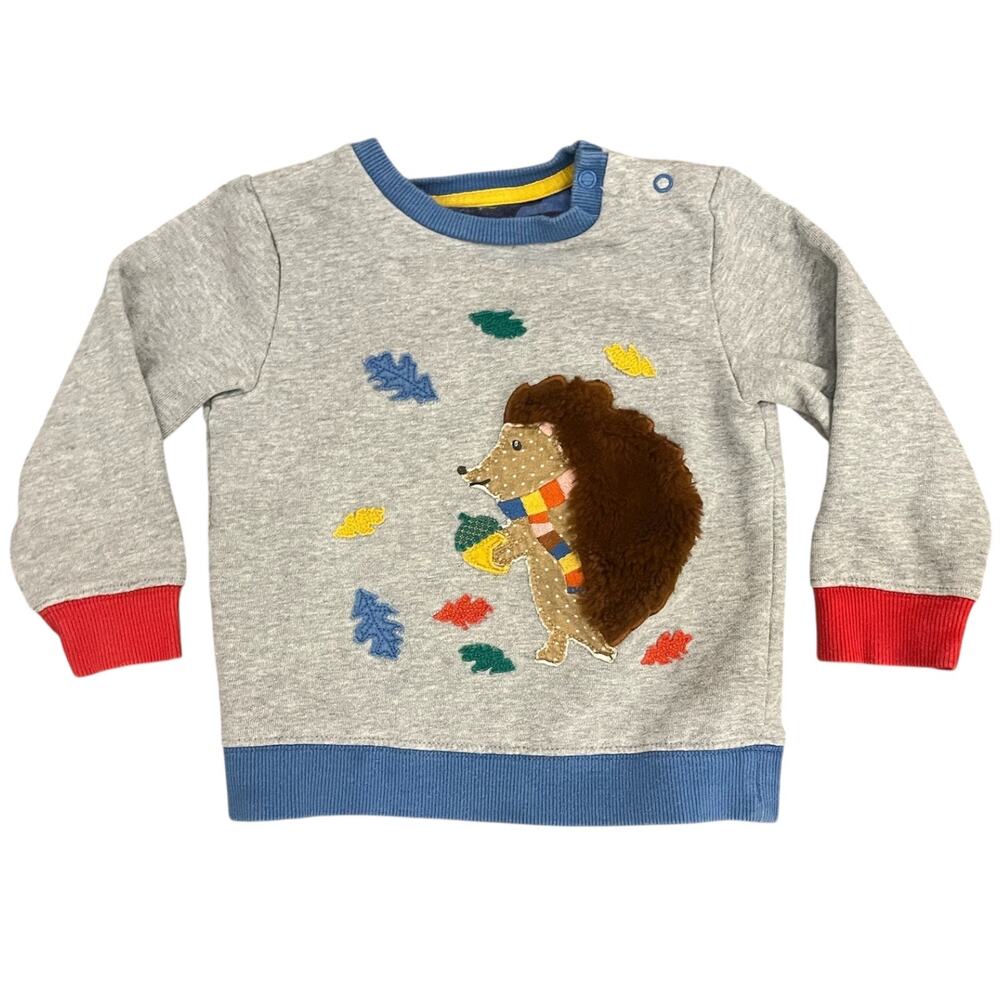 Mini Boden Appliqué Hedgehog Acorn and Leaves Sweatshirt Size 18-24m